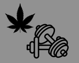 High Intensity: The Benefits of Working Out While High
